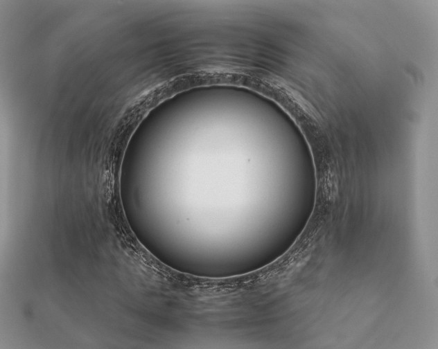 X0000112070821200908111431