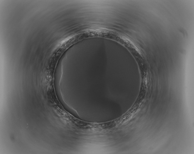 X0000112070822200908111431