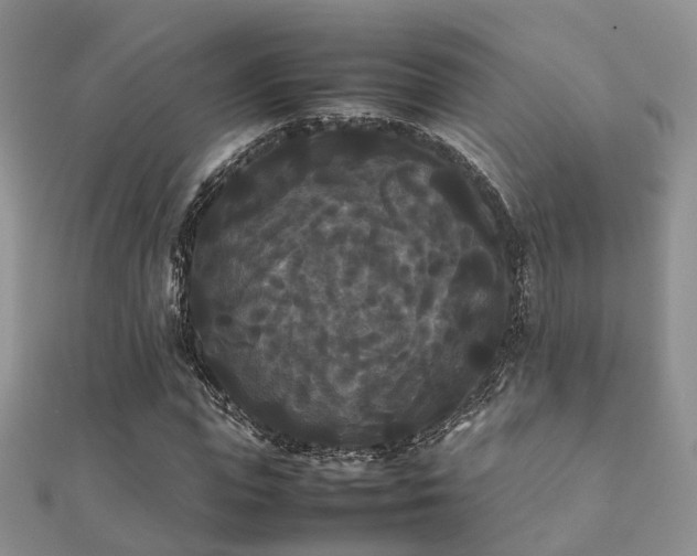 X0000112070823200908111431