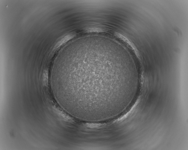 X0000112070825200908111431