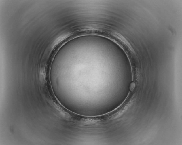 X0000112070826200908111431