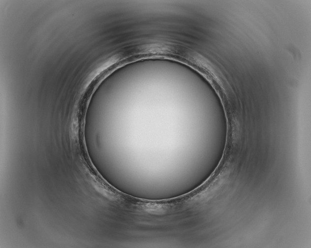 X0000112070827200908111431