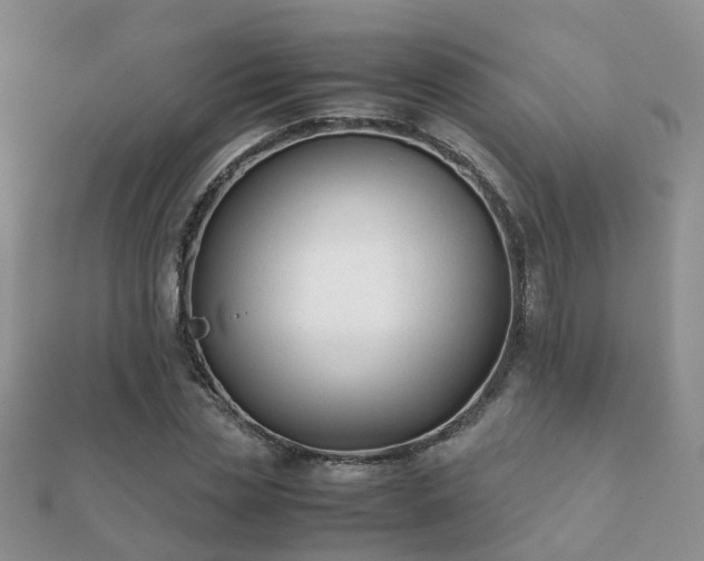 X0000112070829200908111431