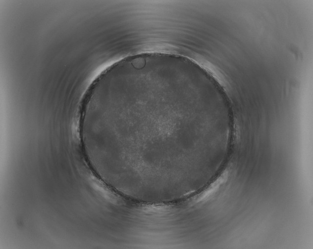 X0000112070830200908111431