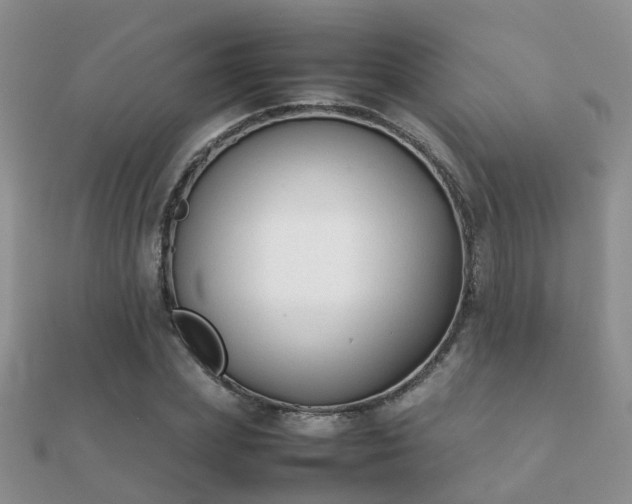 X0000112070831200908111431