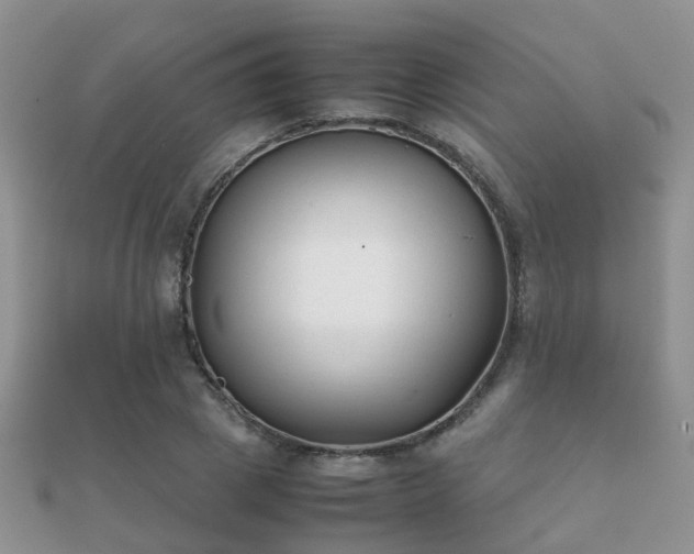 X0000112070833200908111431