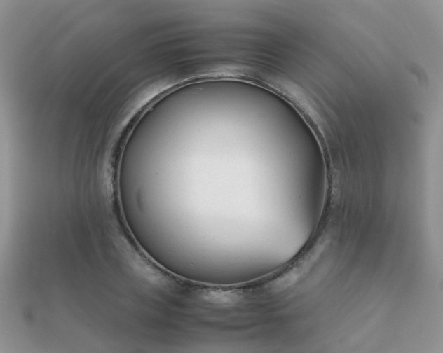 X0000112070835200908111431