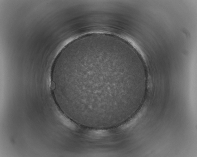 X0000112070837200908111431