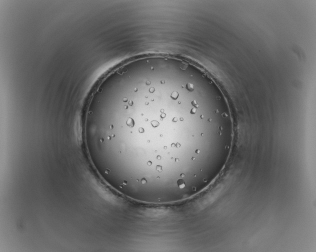 X0000112070838200908111431