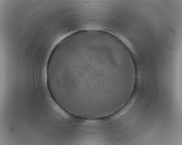 X0000112070840200908111431