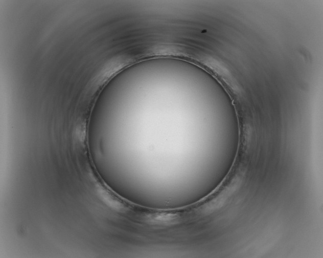 X0000112070841200908111431