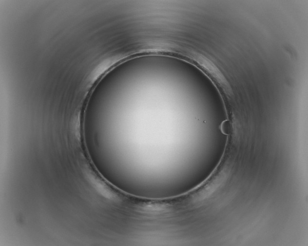 X0000112070842200908111431