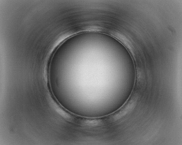 X0000112070843200908111431