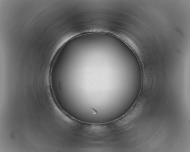 X0000112070847200908111431