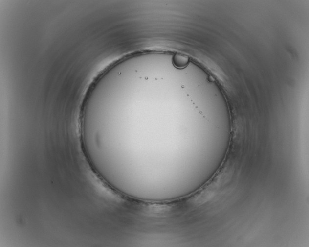 X0000112070848200908111431