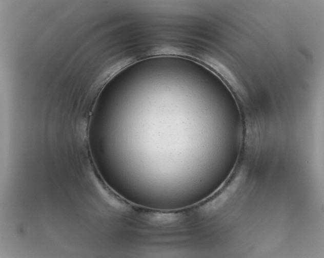 X0000112070849200908111431