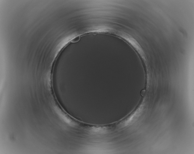 X0000112070850200908111431