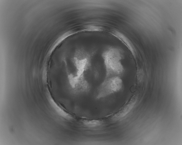 X0000112070851200908111431