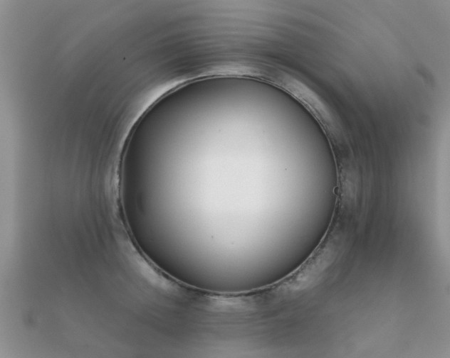 X0000112070852200908111431