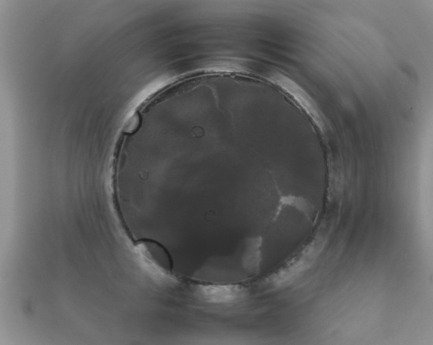 X0000112070853200908111431