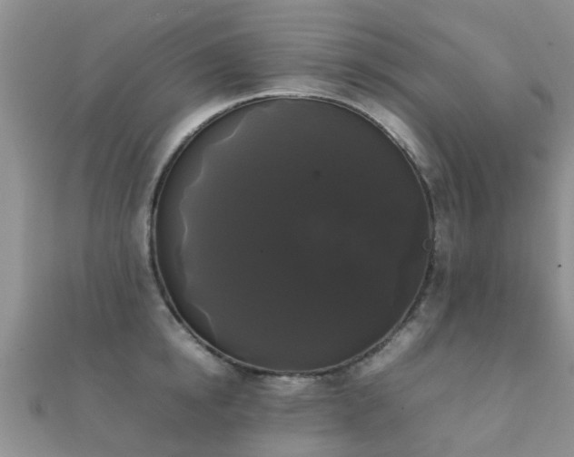 X0000112070854200908111431