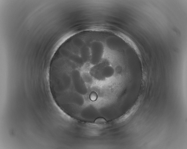 X0000112070855200908111432