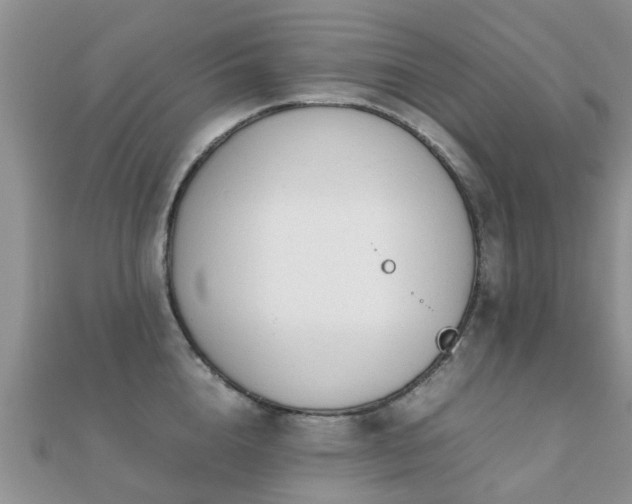 X0000112070856200908111432