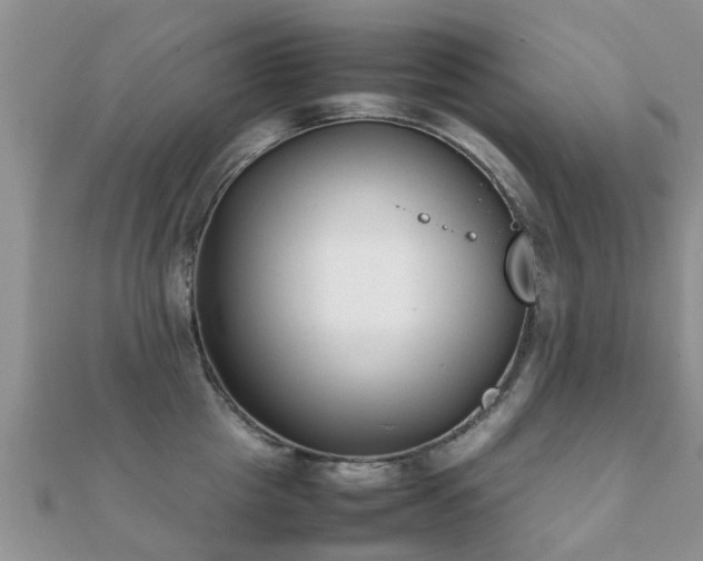 X0000112070857200908111432