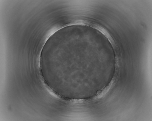 X0000112070858200908111432