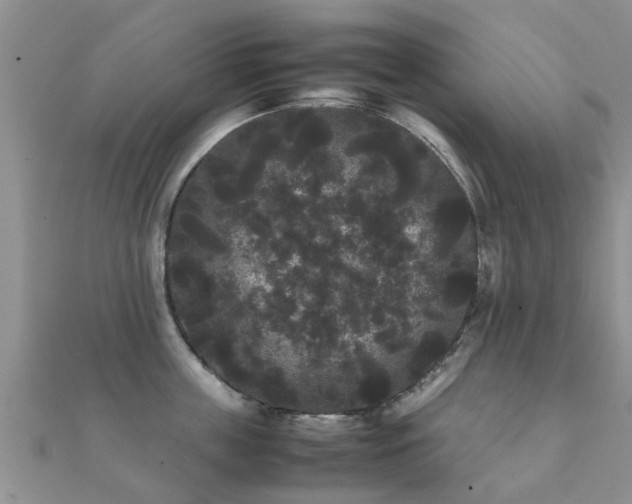 X0000112070859200908111432