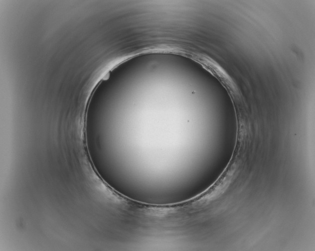 X0000112070860200908111432