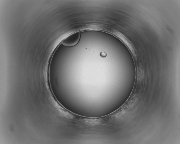 X0000112070861200908111432