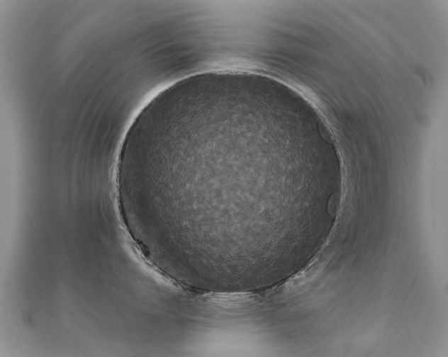 X0000112070864200908111432