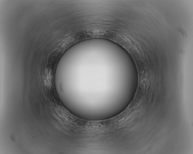 X0000112070866200908111431