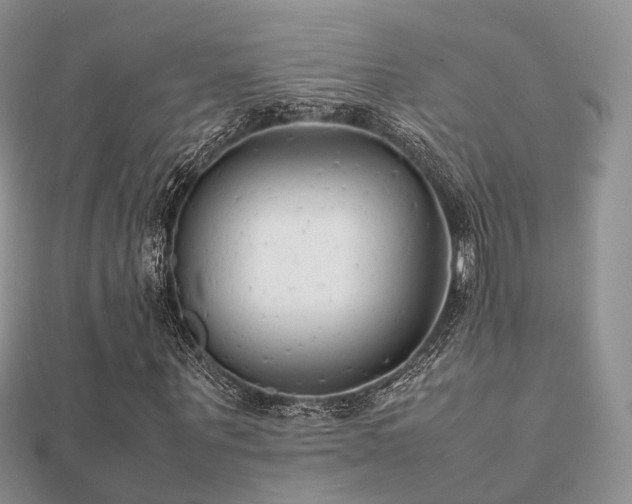 X0000112070867200908111431