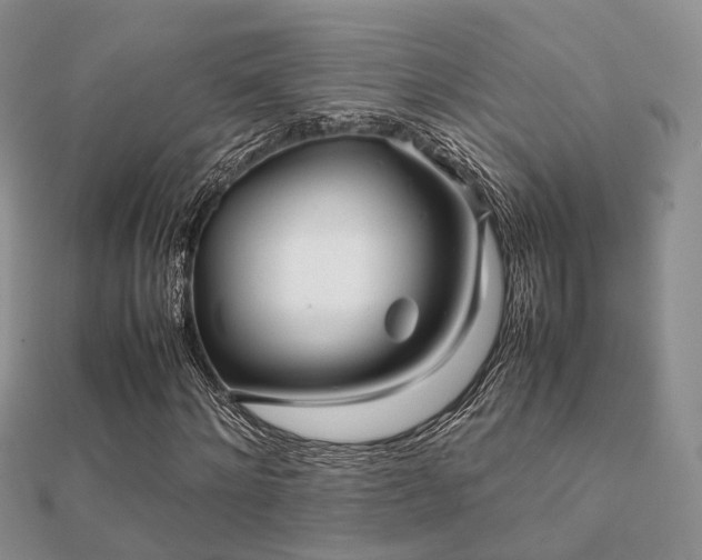 X0000112070868200908111431