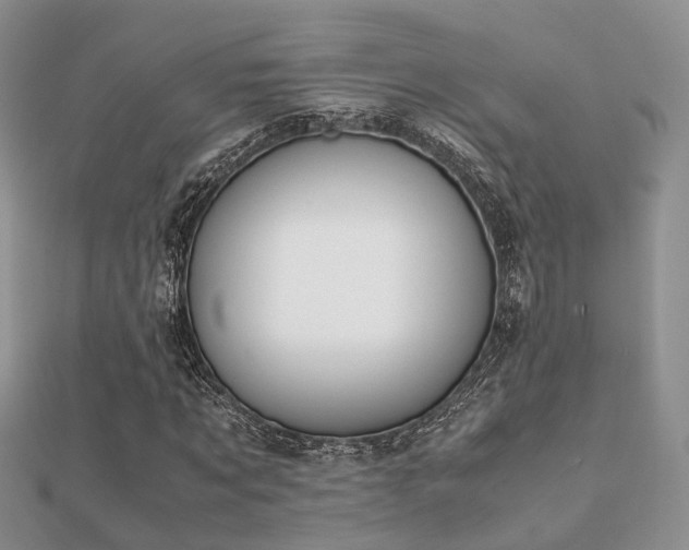 X0000112070869200908111431