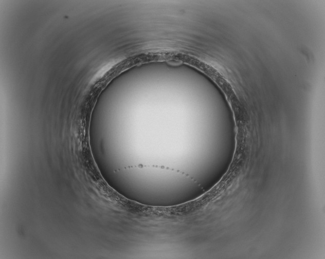 X0000112070871200908111431