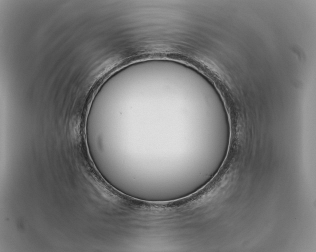 X0000112070873200908111431