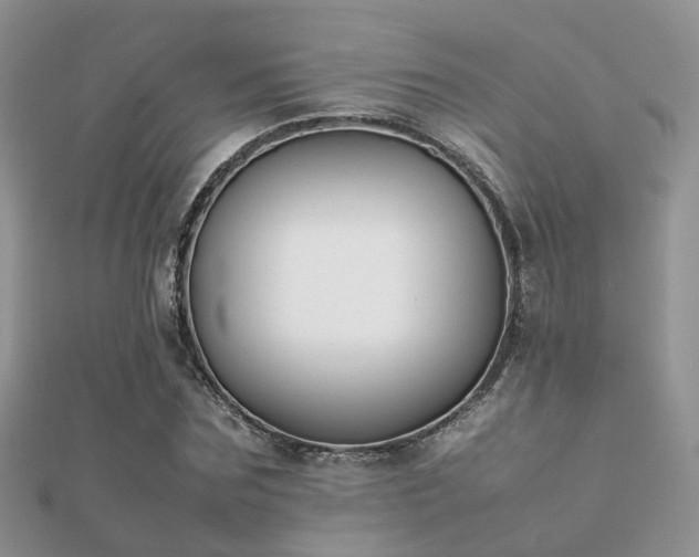 X0000112070875200908111431