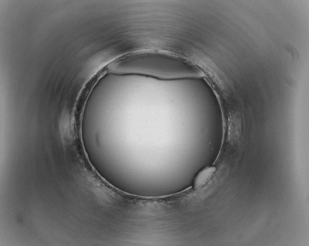 X0000112070876200908111431