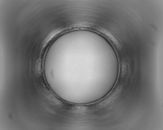 X0000112070878200908111431