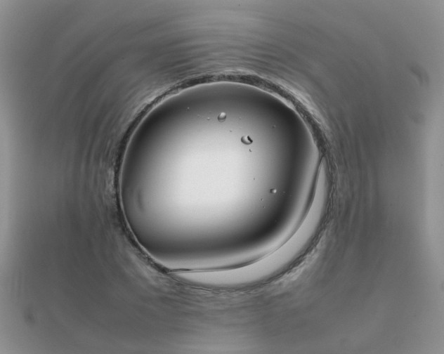 X0000112070881200908111430