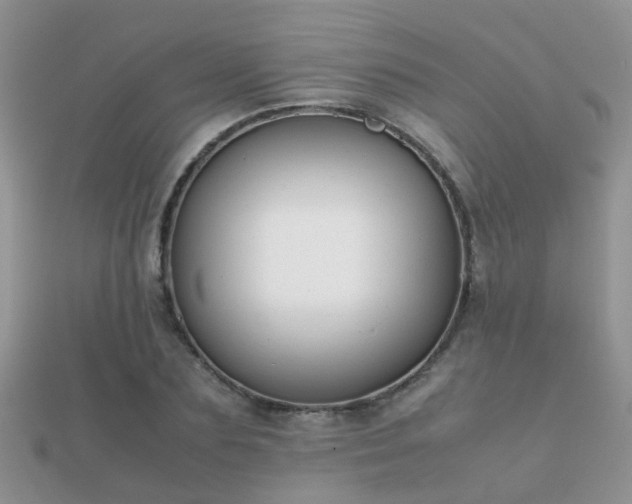 X0000112070883200908111430