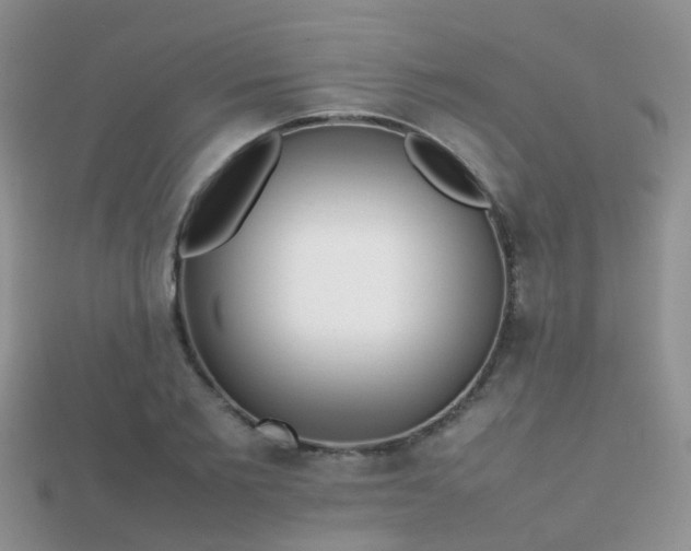 X0000112070885200908111430