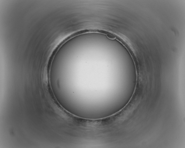 X0000112070887200908111430