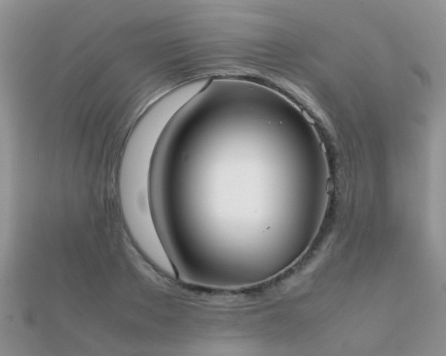 X0000112070889200908111430