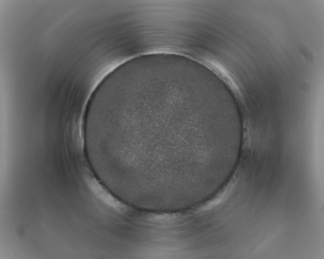 X0000112070892200908111430