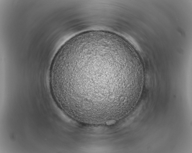 X0000112070895200908111430