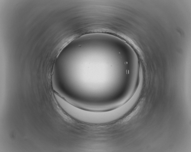 X0000112070897200908111430